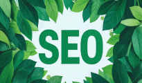 公司網(wǎng)站SEO：提升網(wǎng)站流量與品牌形象的秘密武器