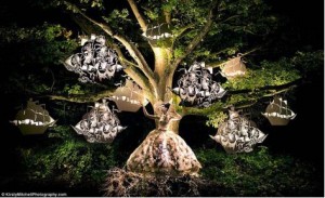 夢(mèng)幻童話般的照片(網(wǎng)頁(yè)設(shè)計(jì)欣賞)
